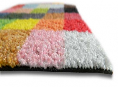 Promotional Carpet with dirt trapping function